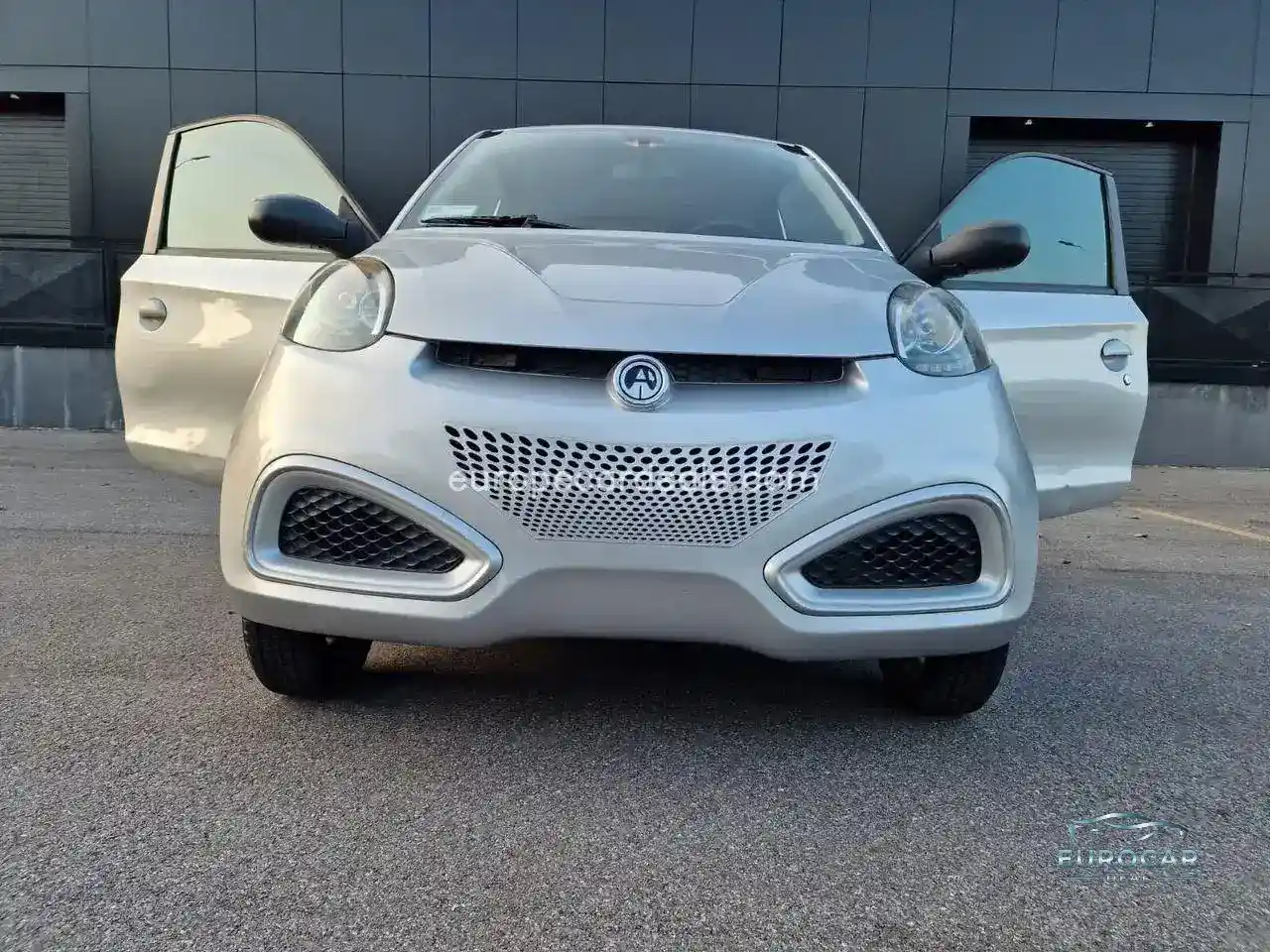 Microcar Other