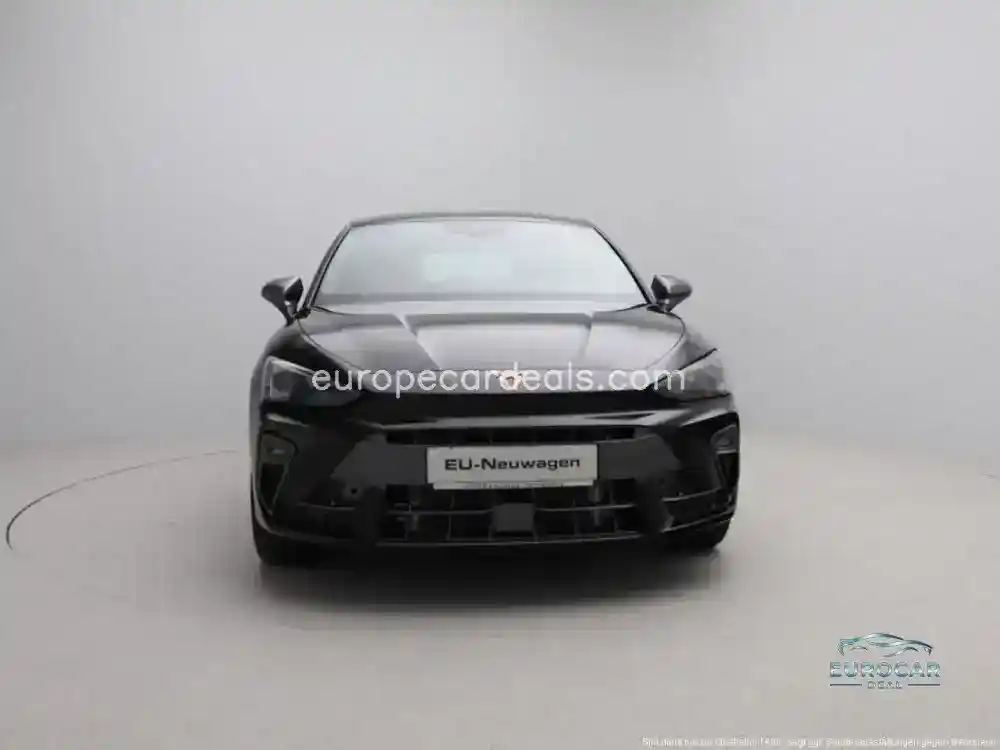 Cupra Other