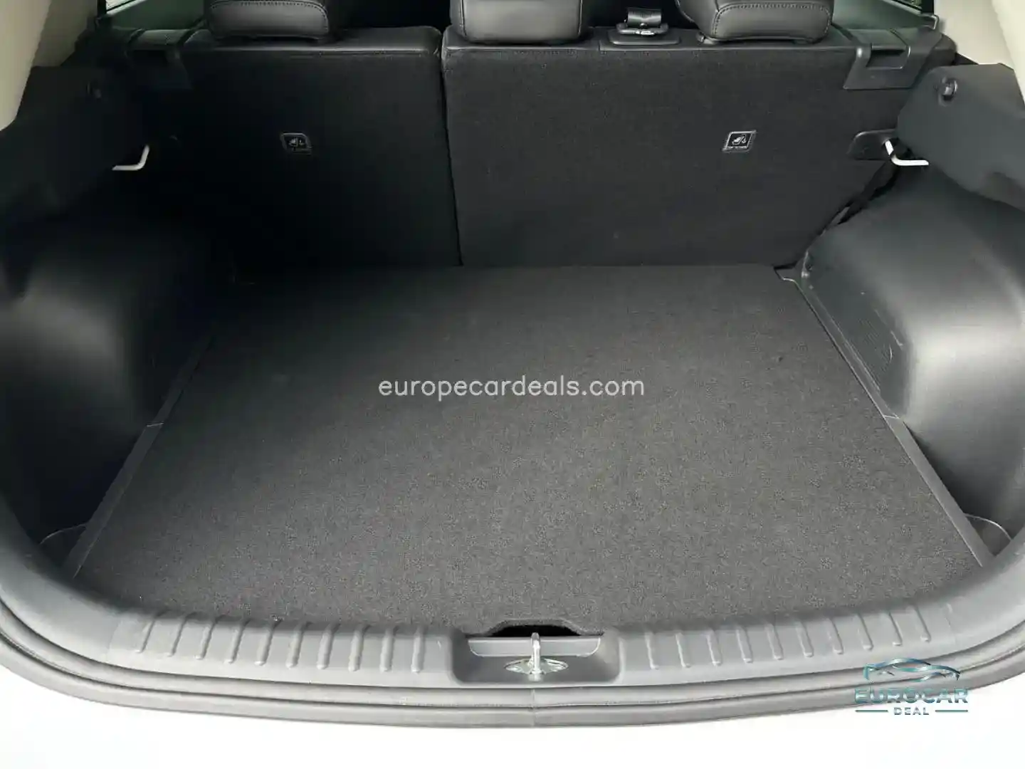Kia Niro EV