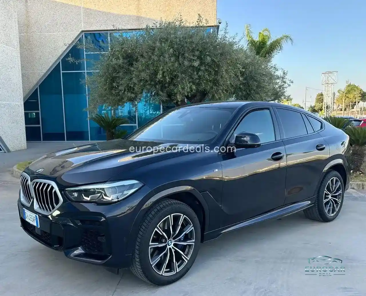 BMW X6