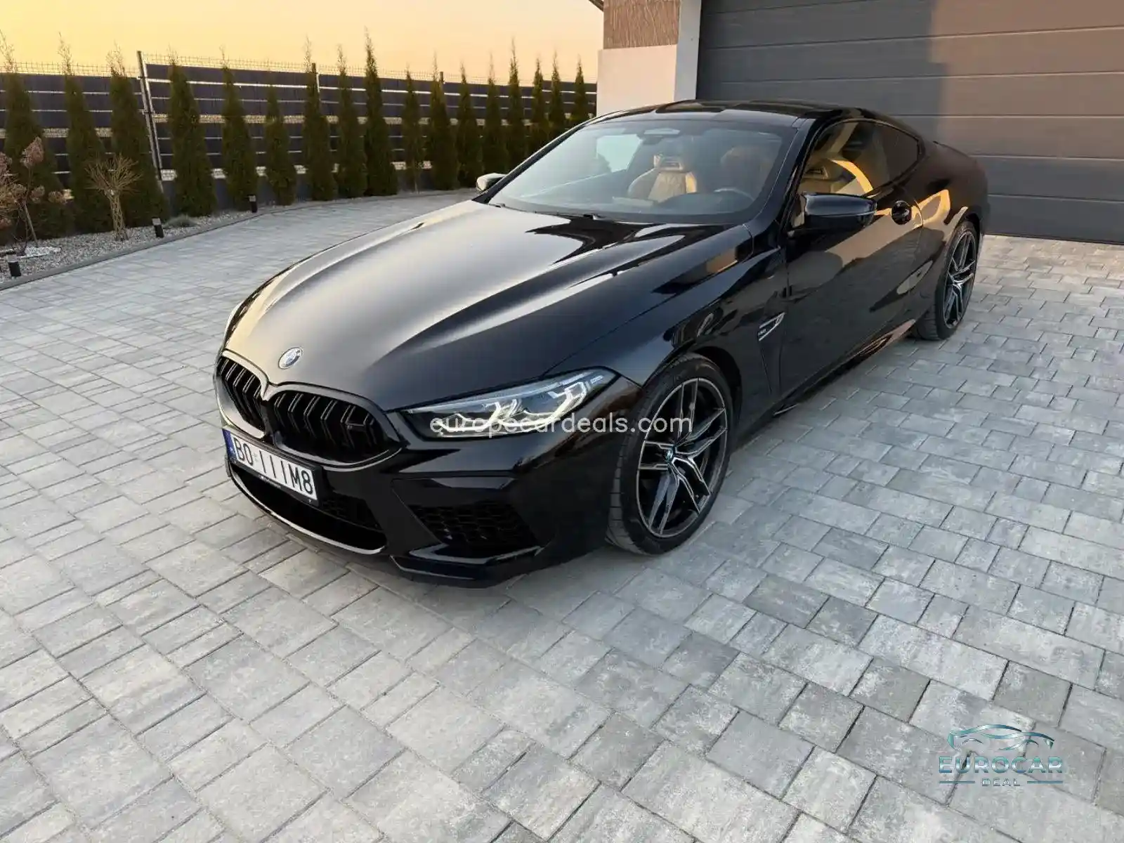 BMW M8