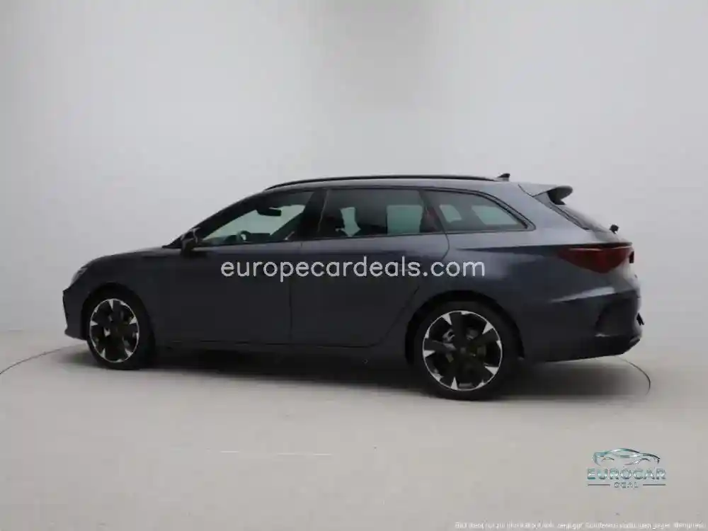 Cupra Other
