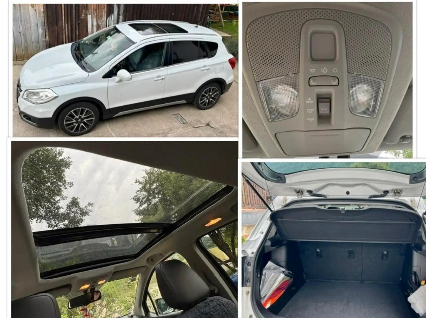 Suzuki (SX4) S-Cross