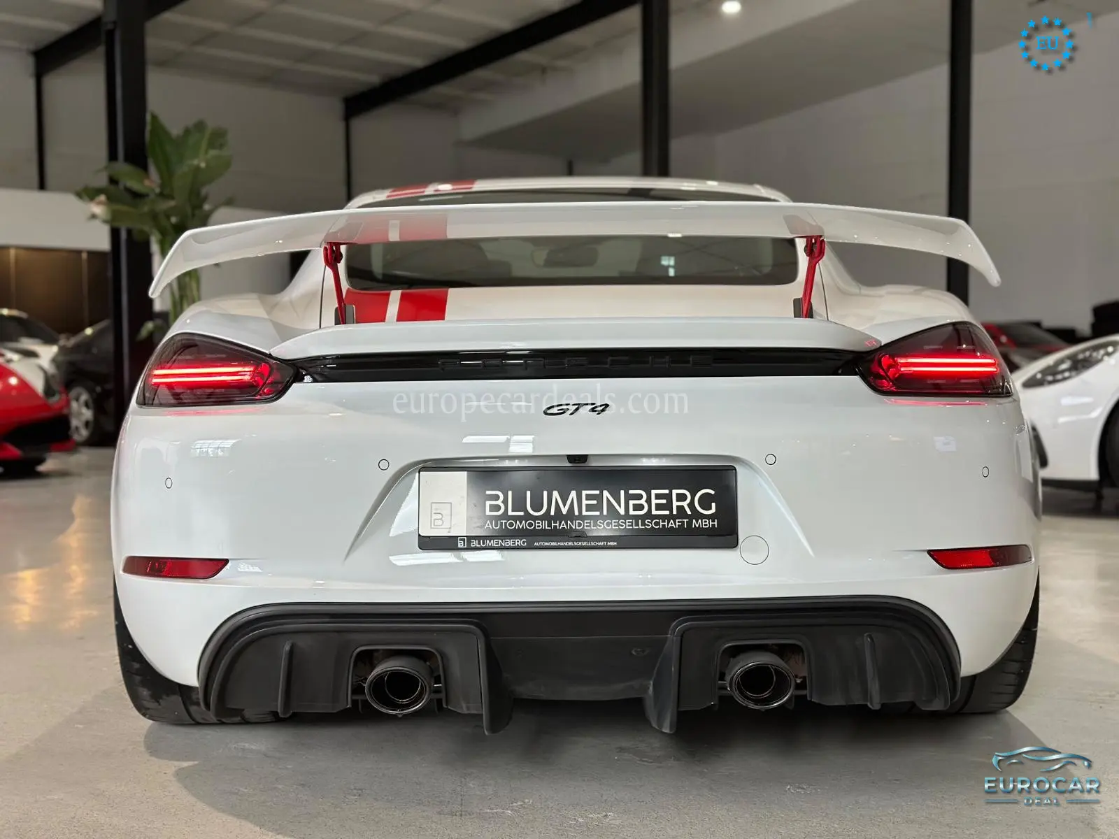 Porsche Cayman
