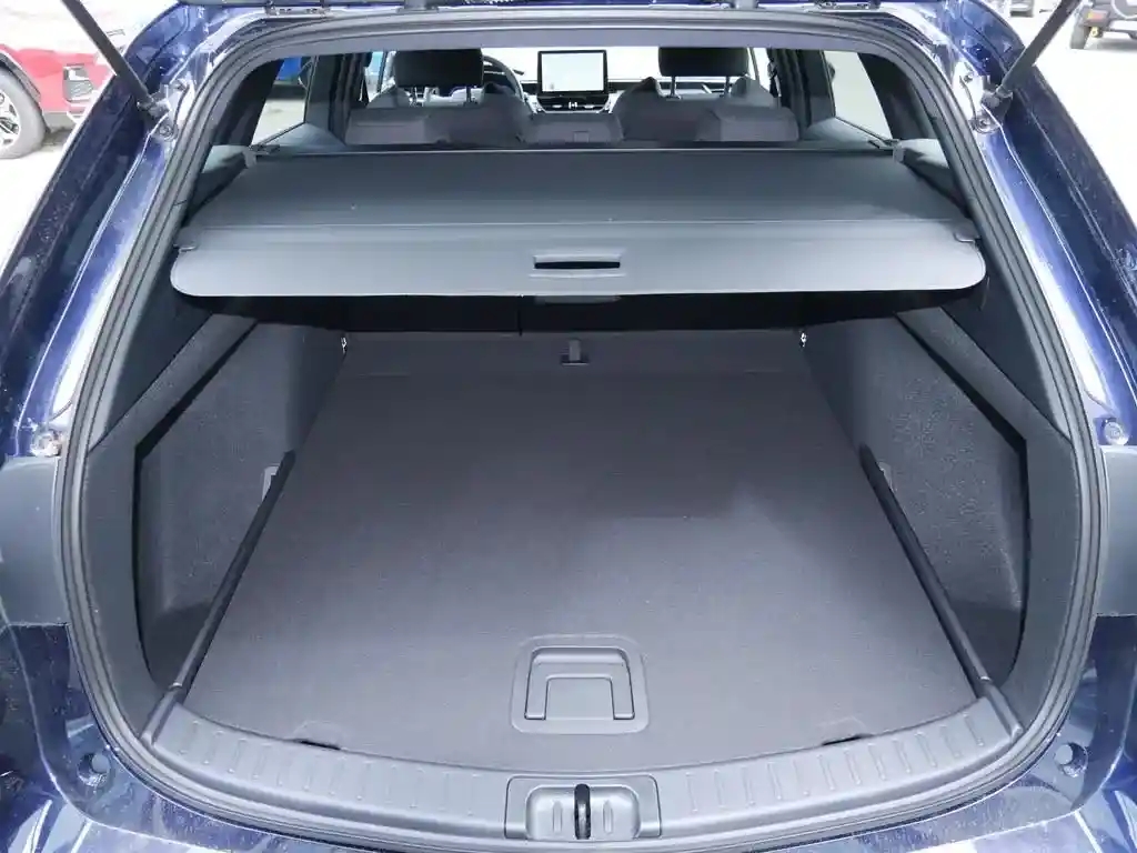 Suzuki Swace