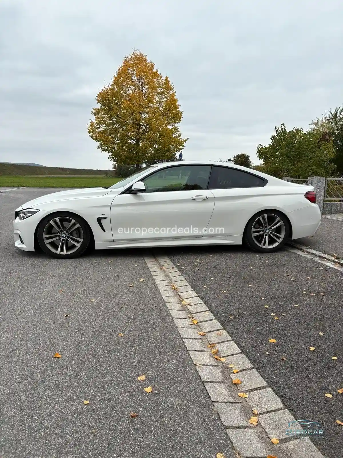 BMW 324
