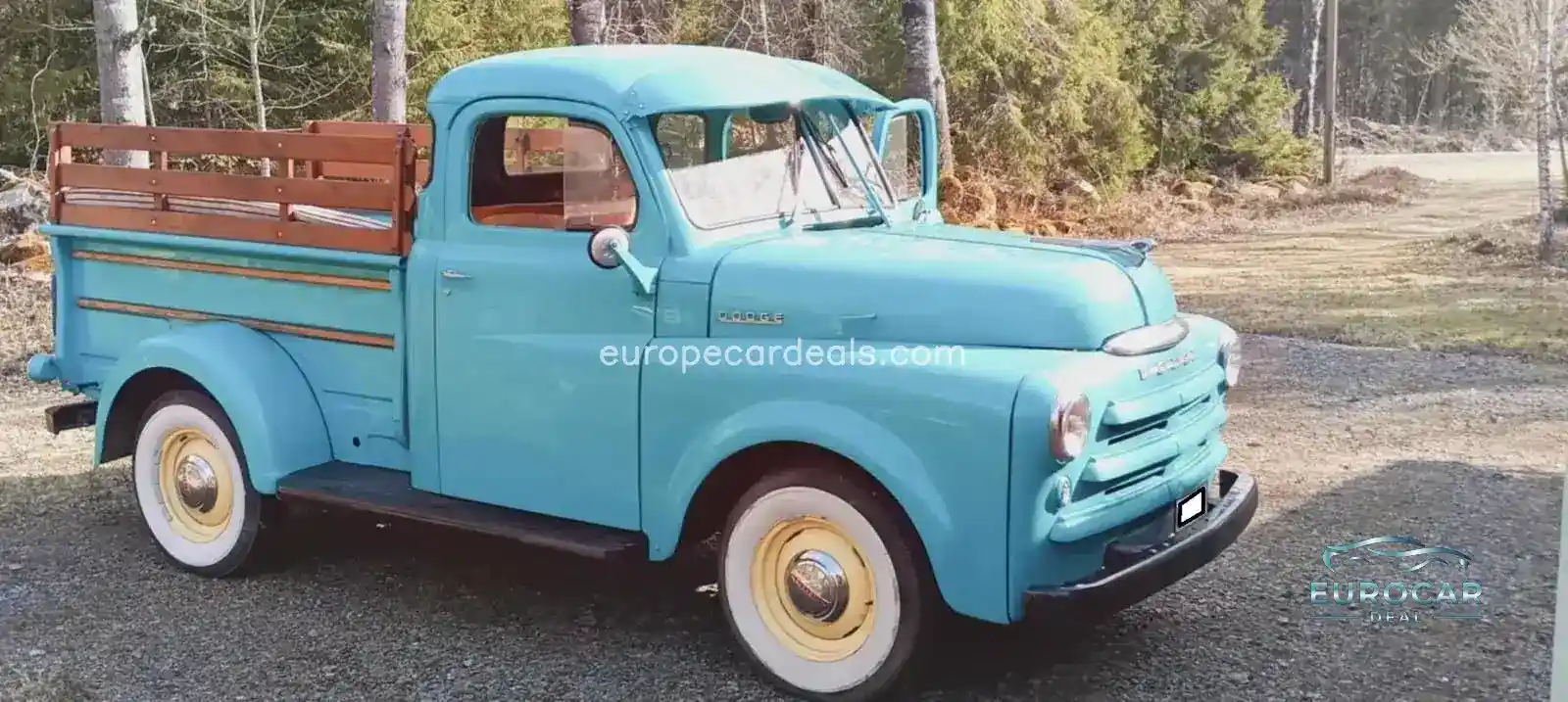 Dodge Other
