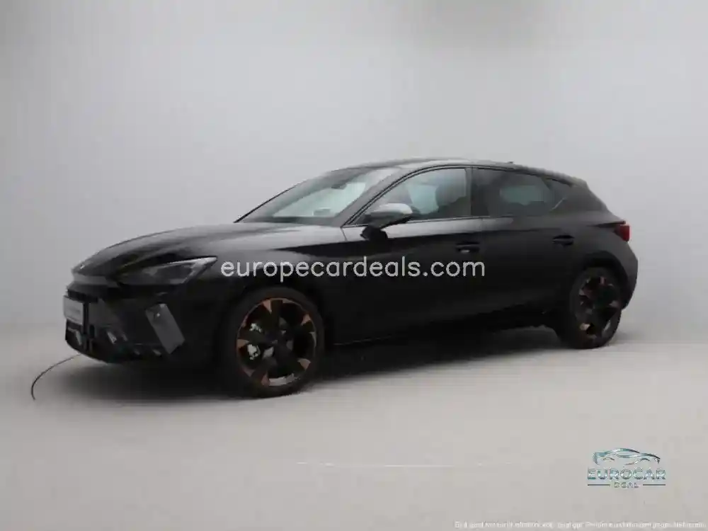 Cupra Other