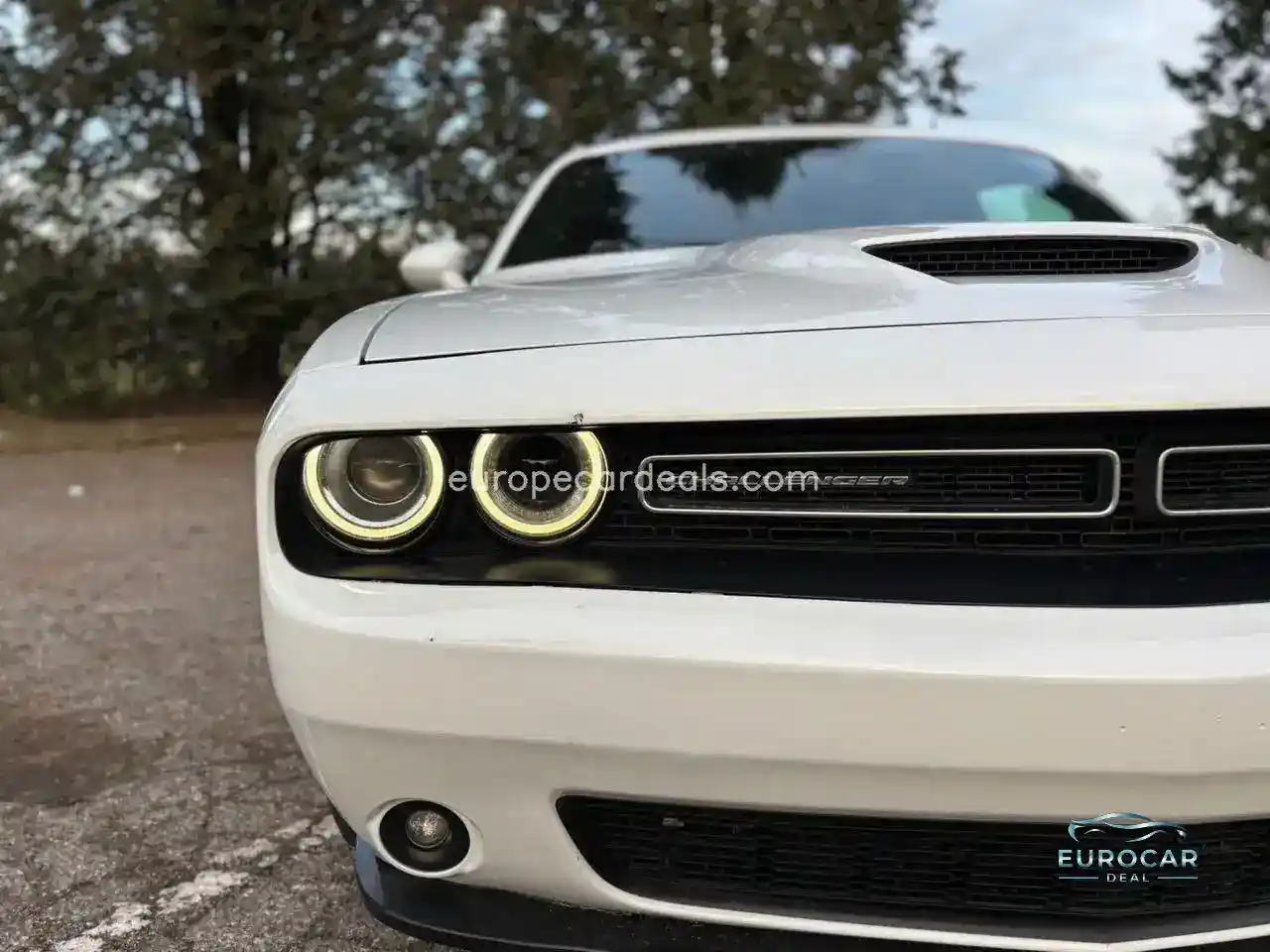 Dodge Other