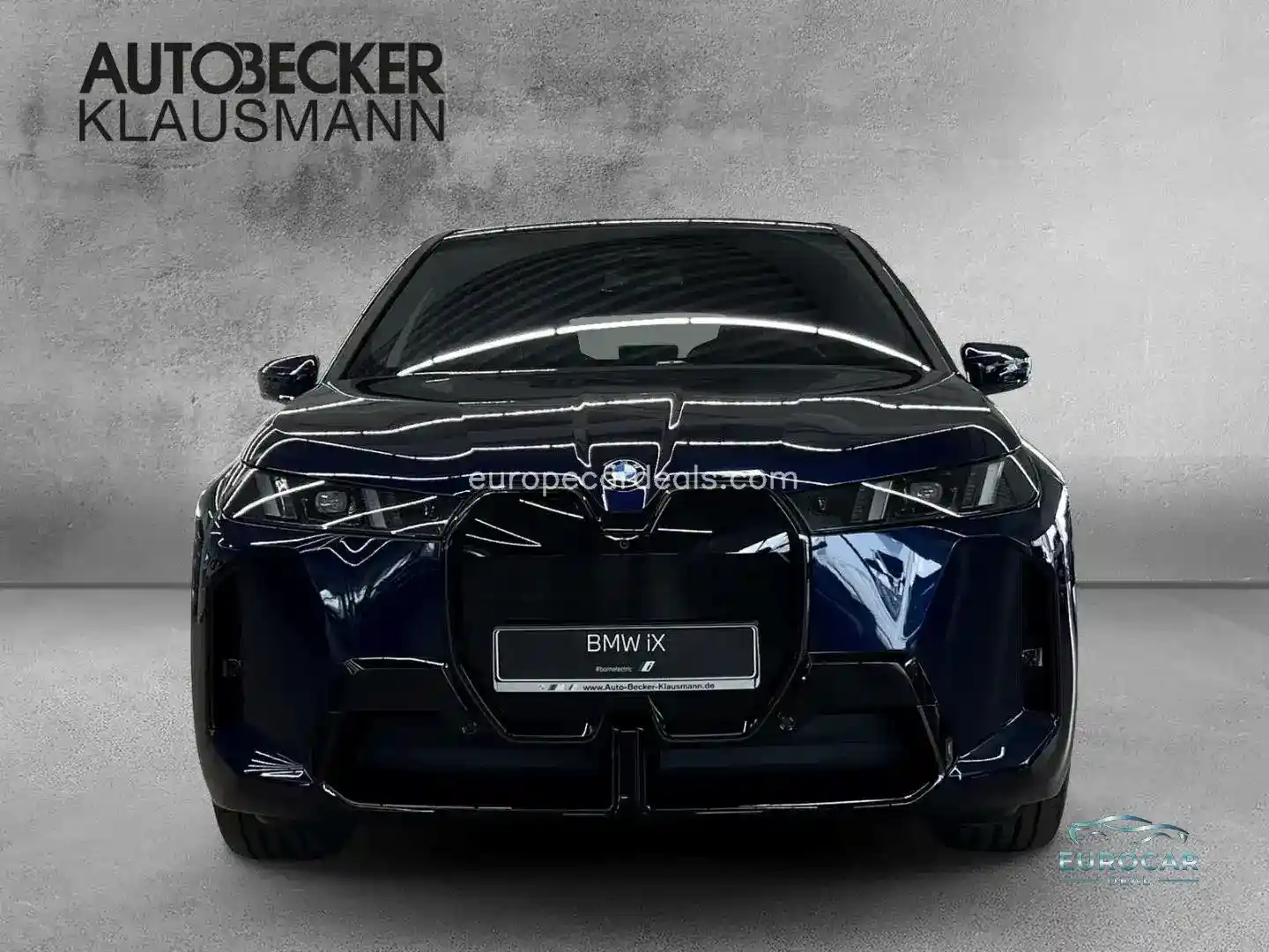 BMW iX