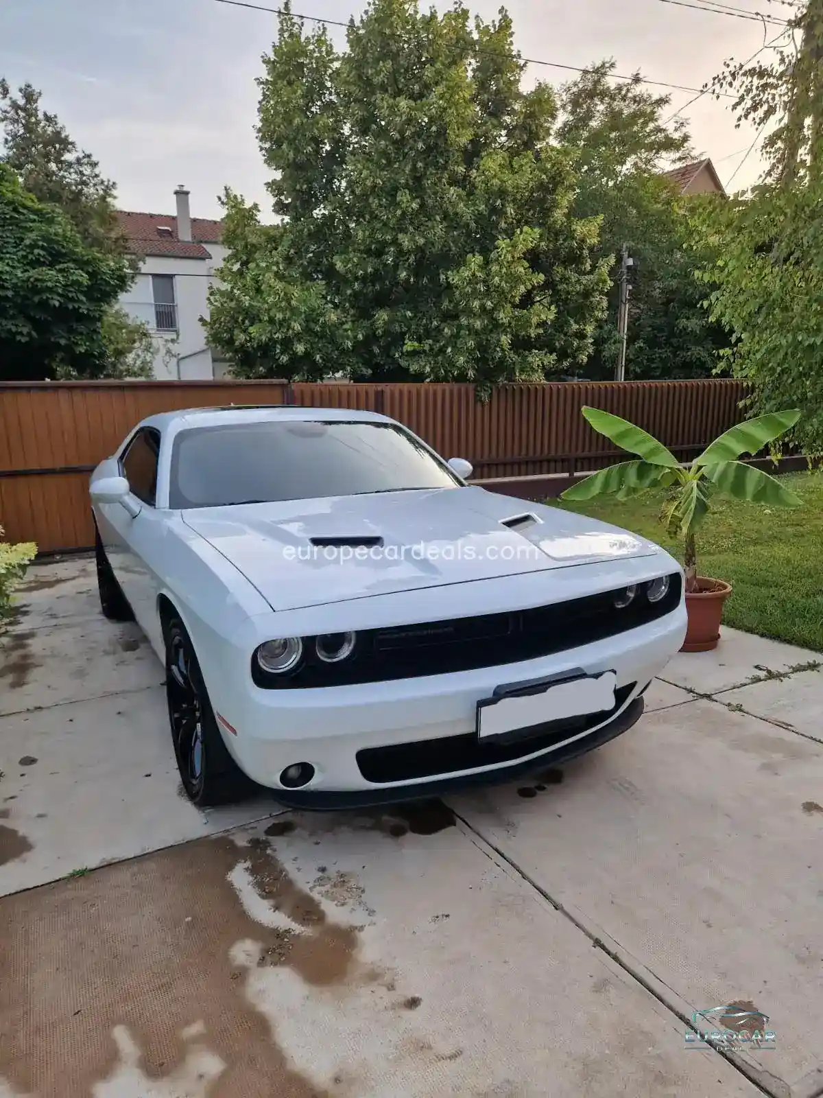 Dodge Challenger