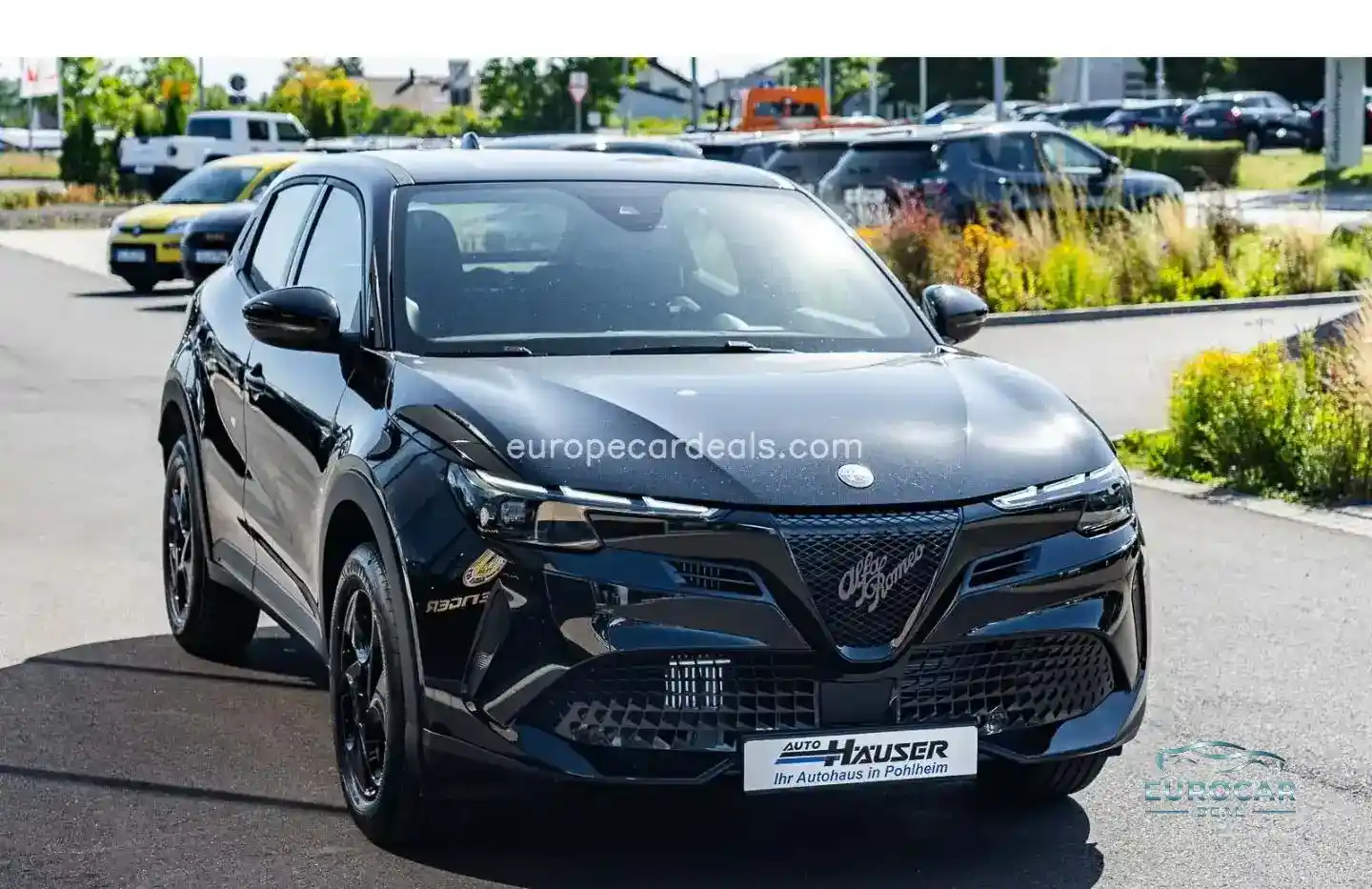 Alfa Romeo Junior