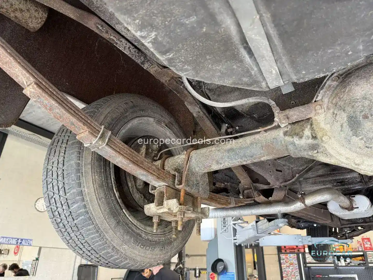 Dodge Other