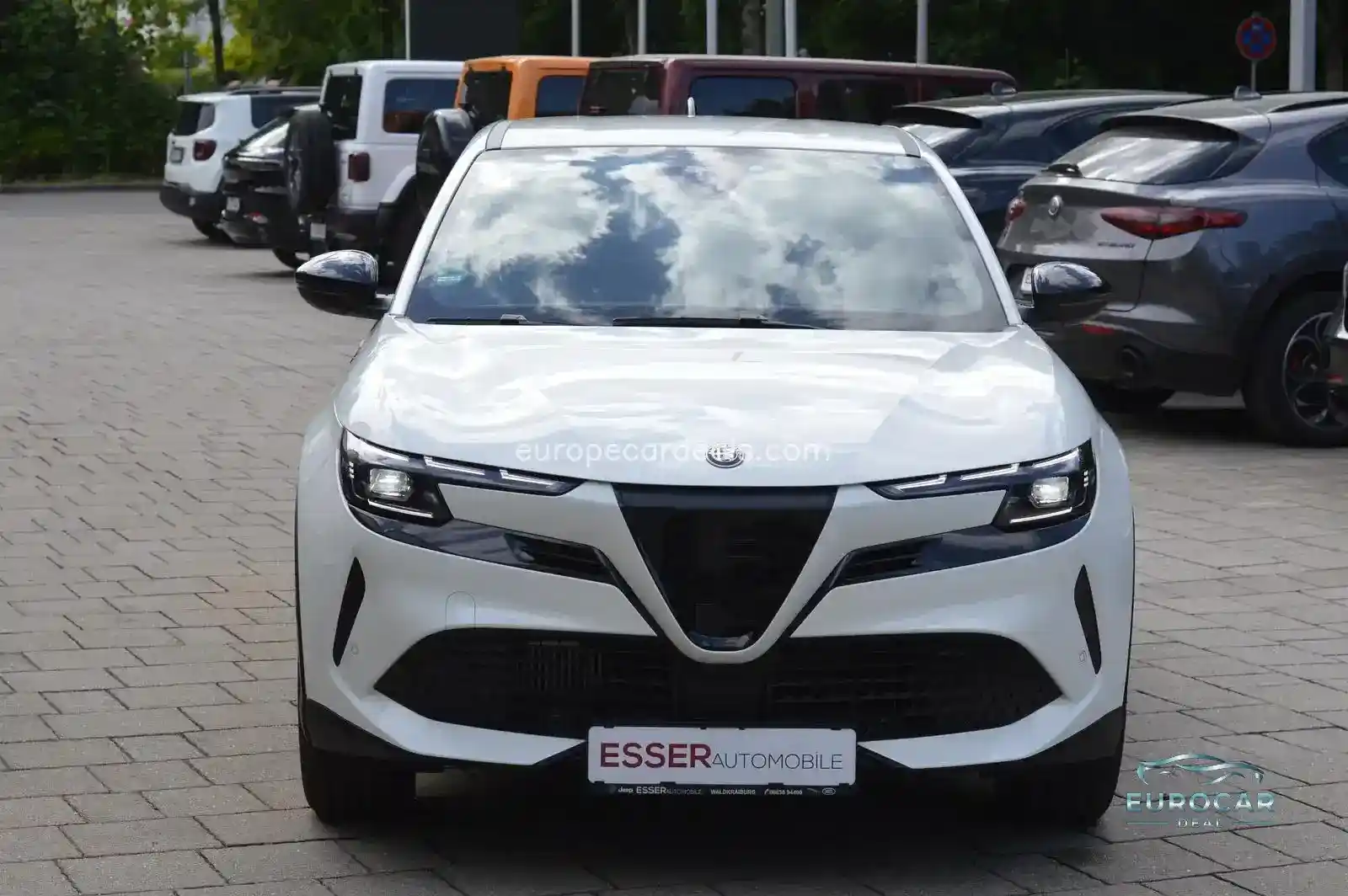 Alfa Romeo Junior