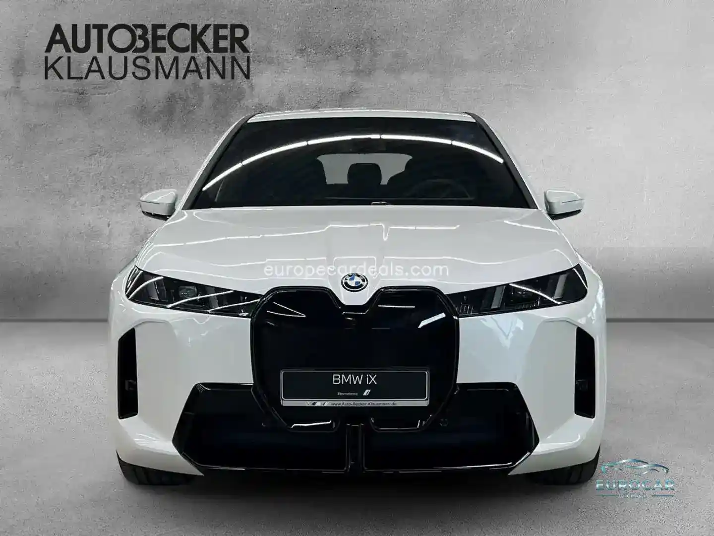BMW iX