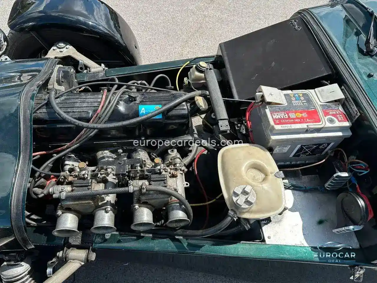 Lotus Other