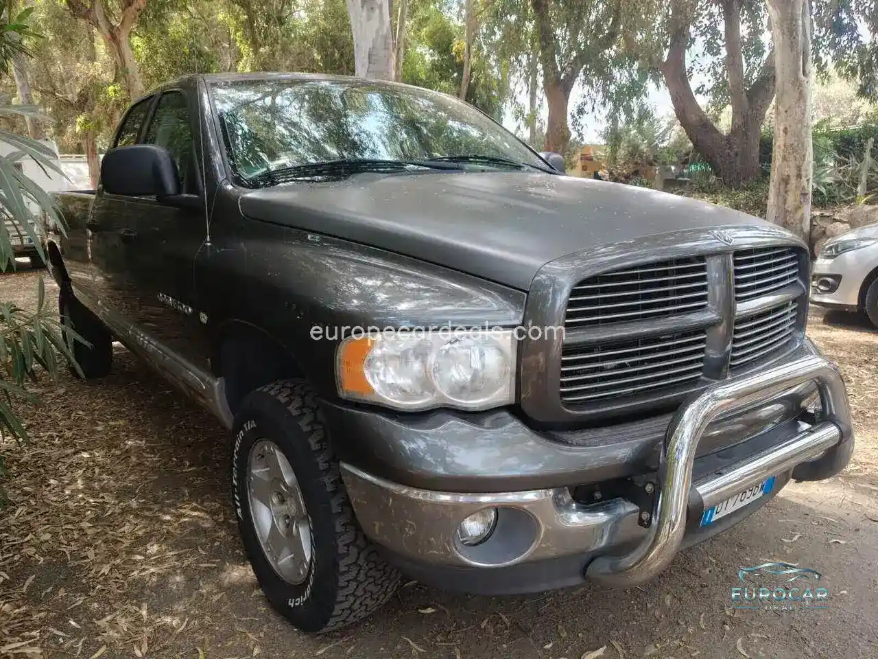 Dodge Other