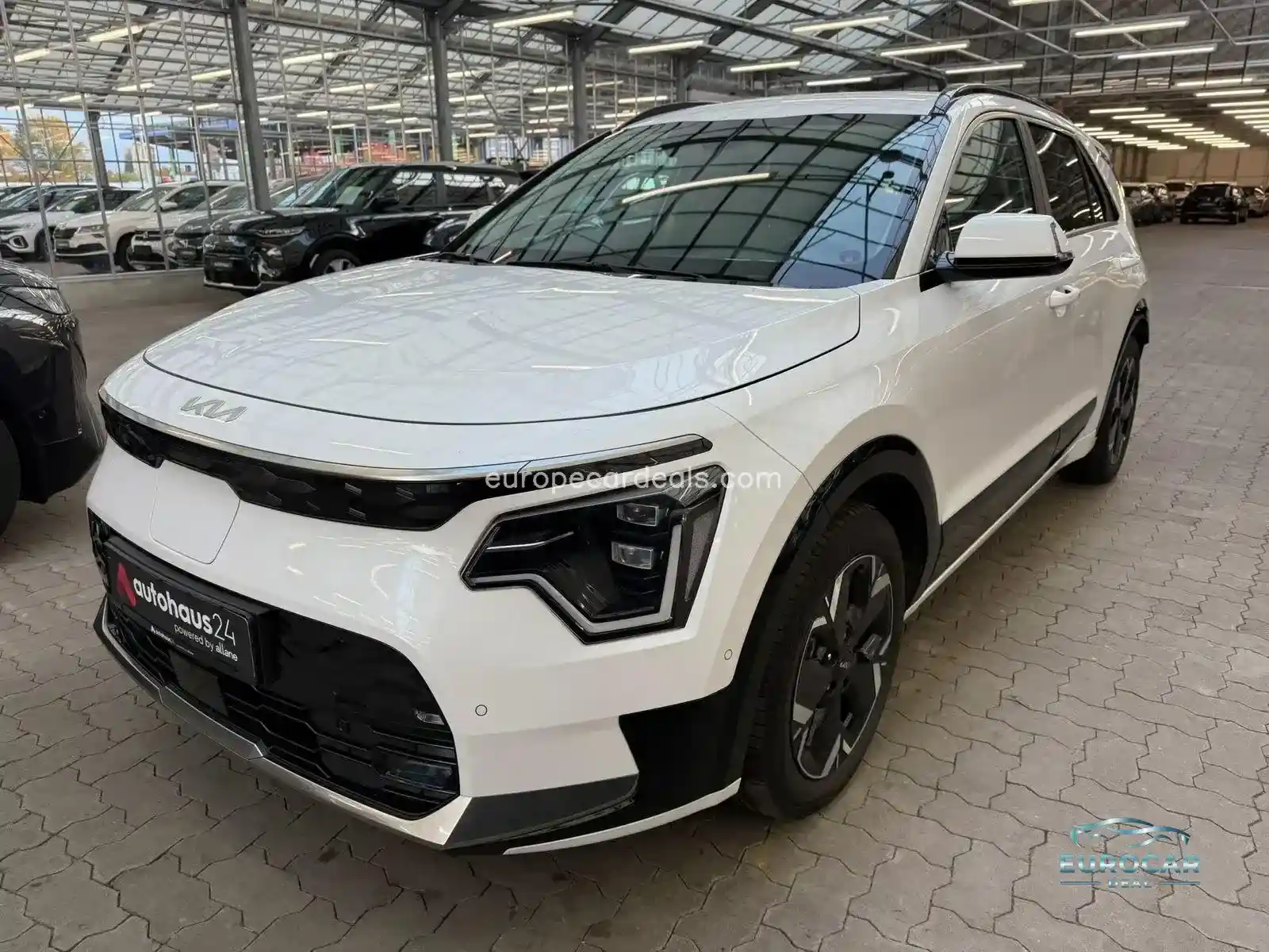 Kia Niro EV