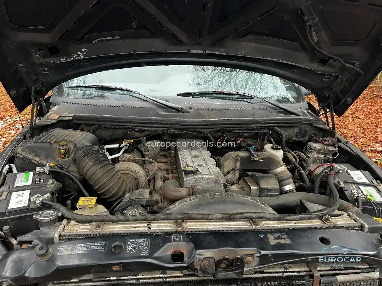 Dodge RAM