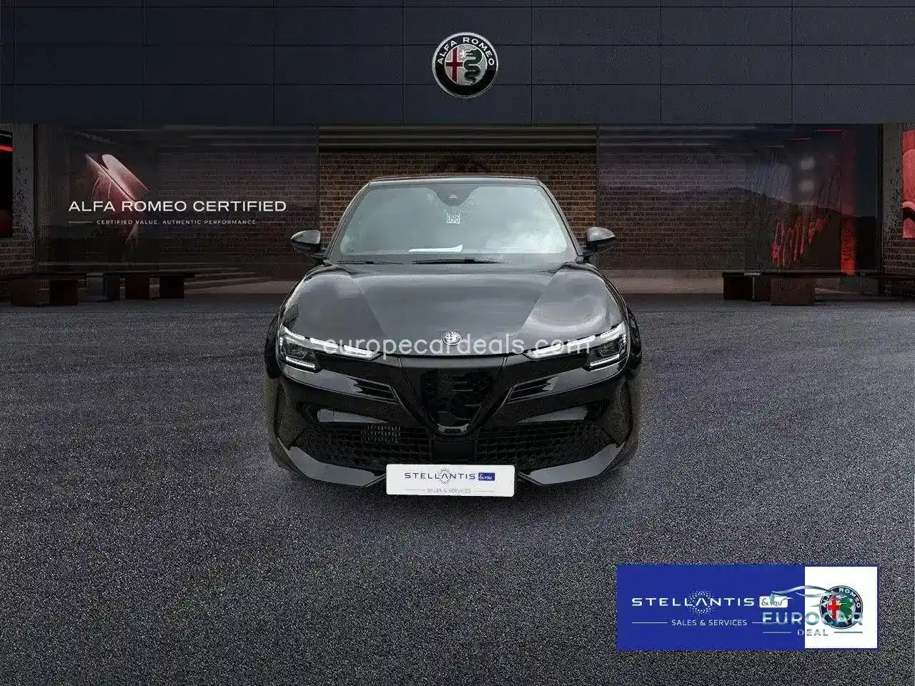 Alfa Romeo Junior