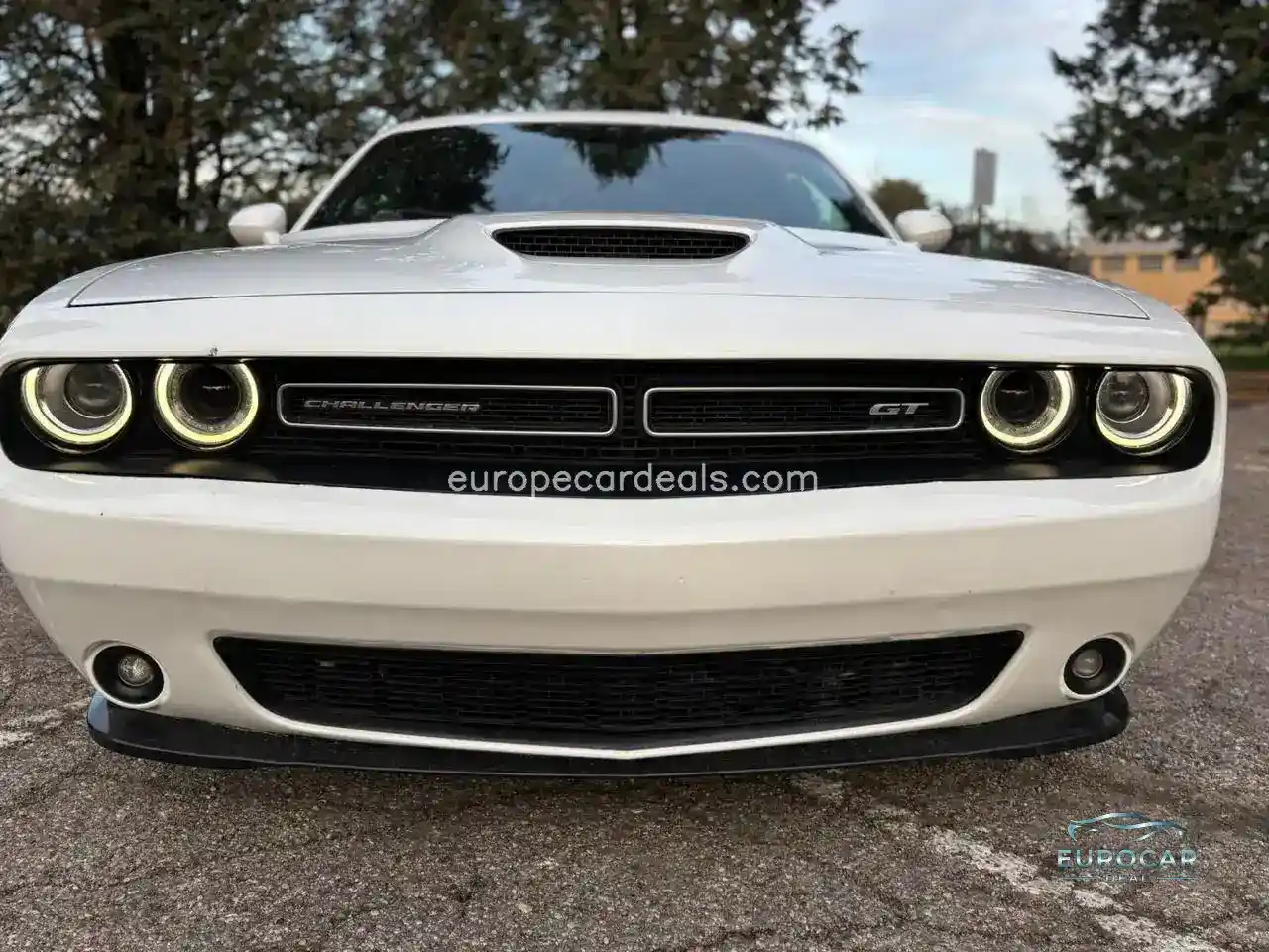 Dodge Other
