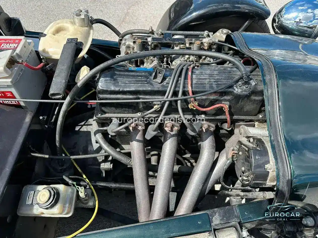 Lotus Other