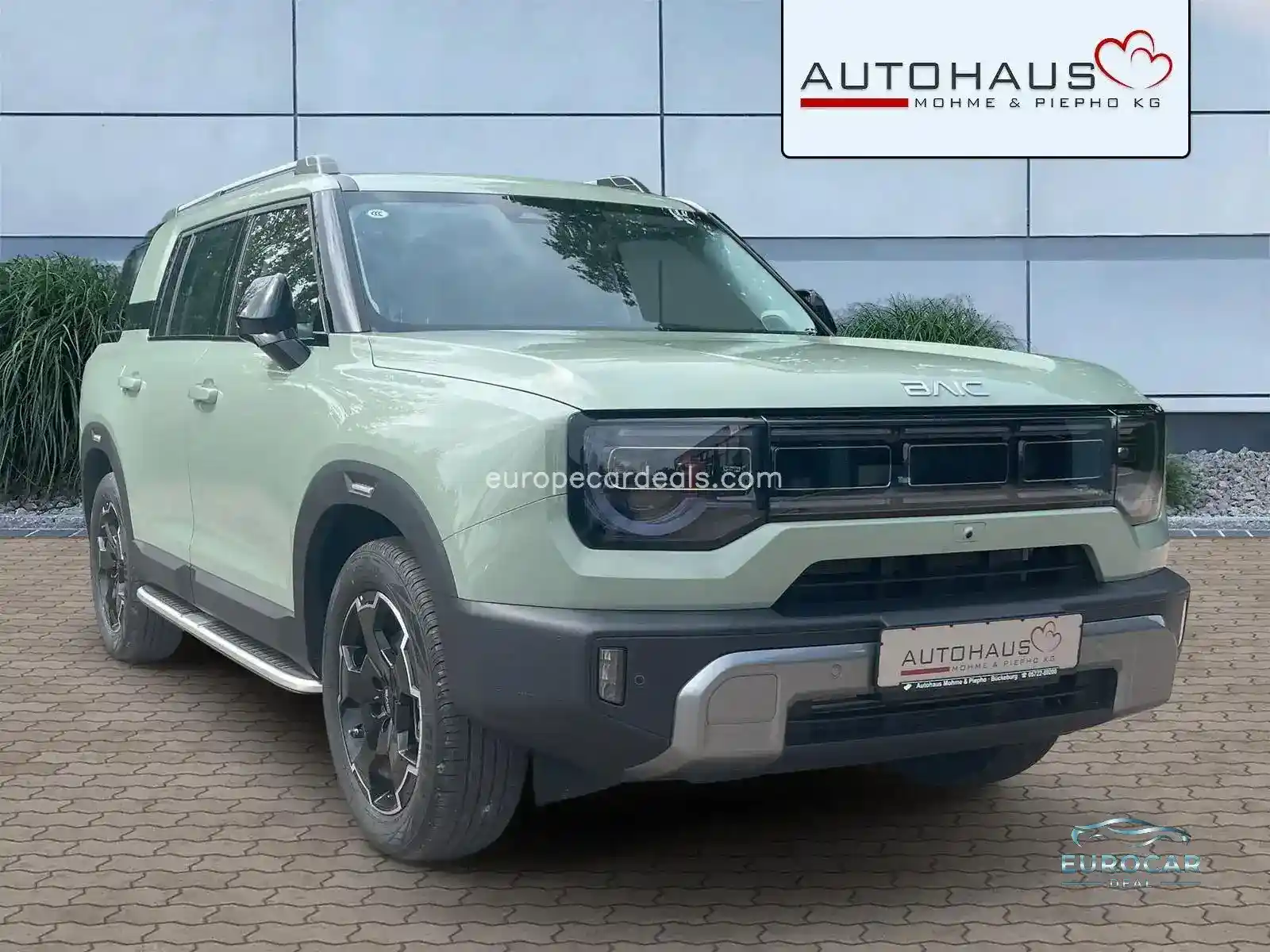BAIC Other