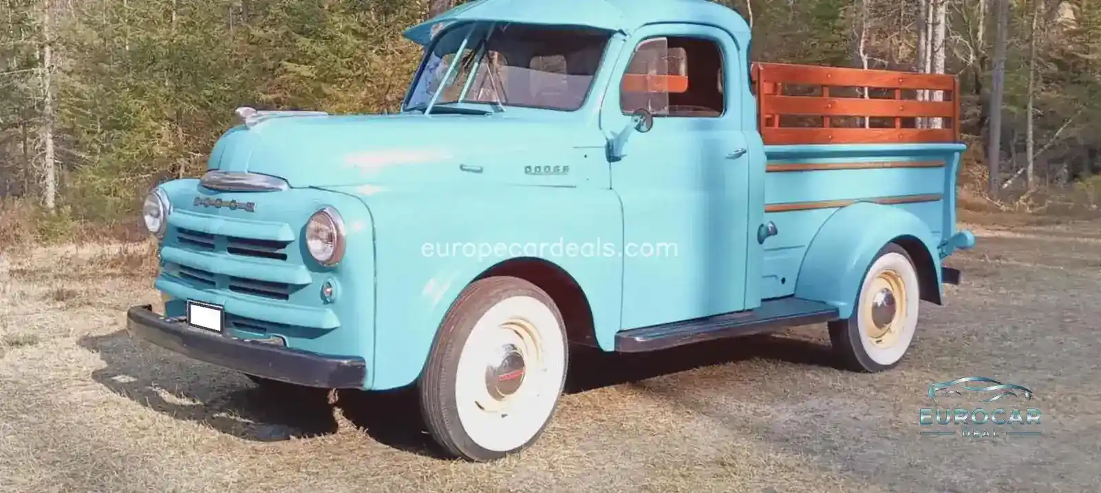 Dodge Other