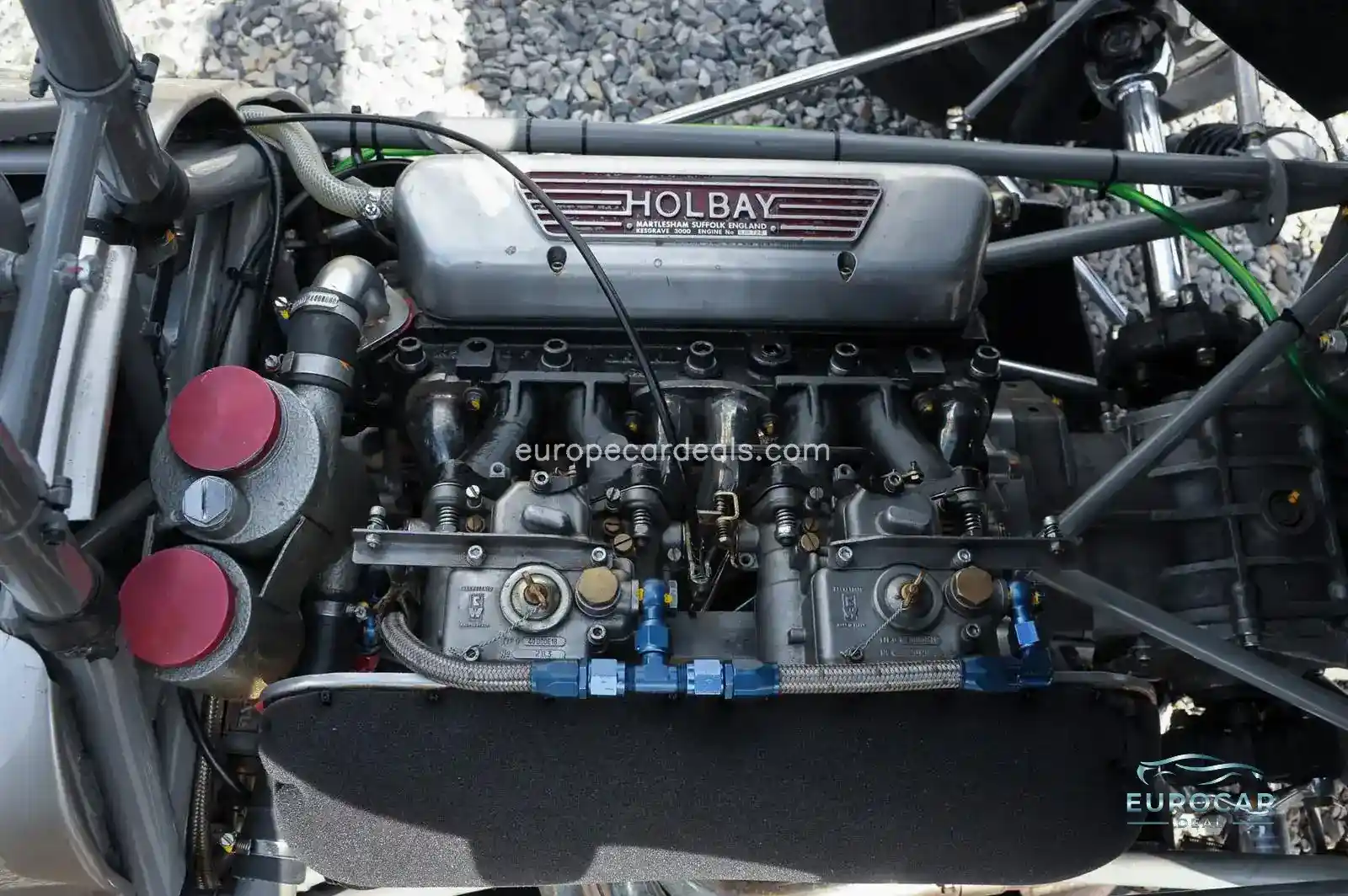 Lotus Other