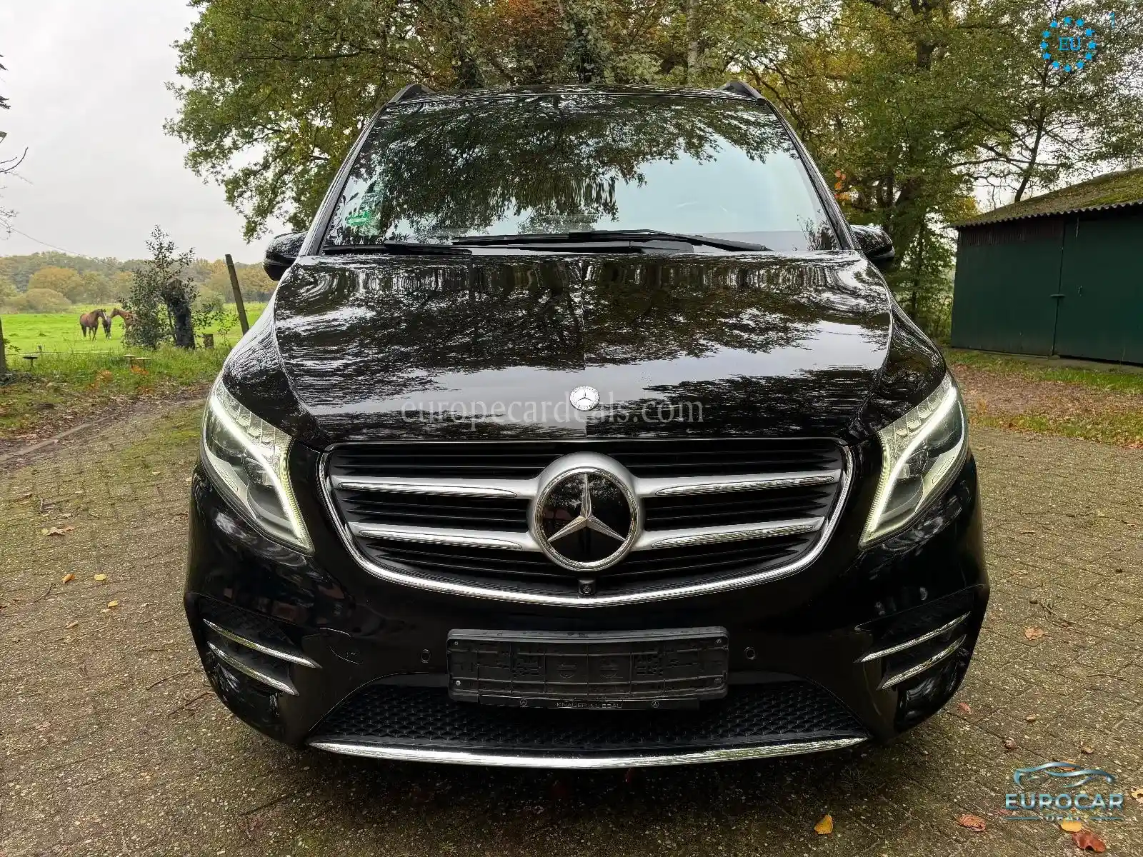 Mercedes-Benz V 250