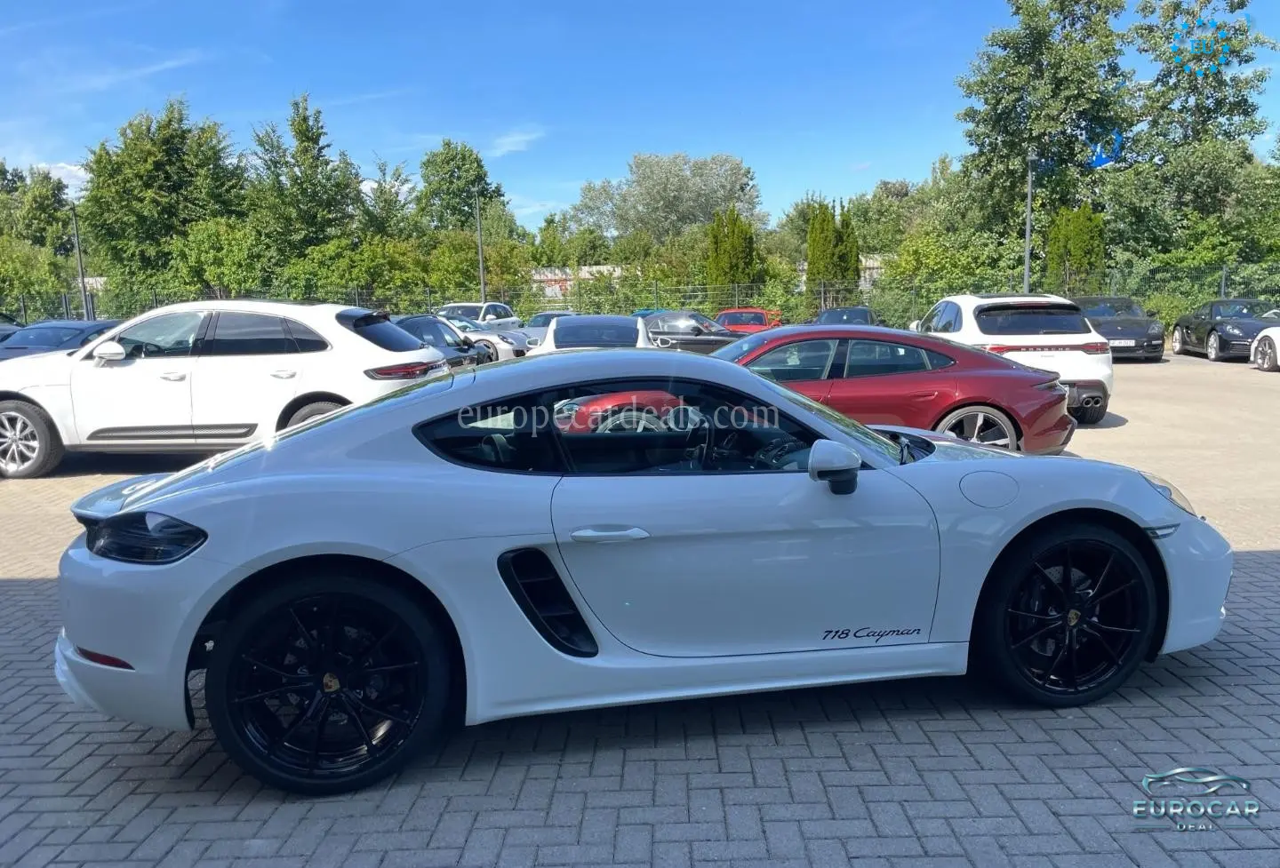 Porsche Cayman