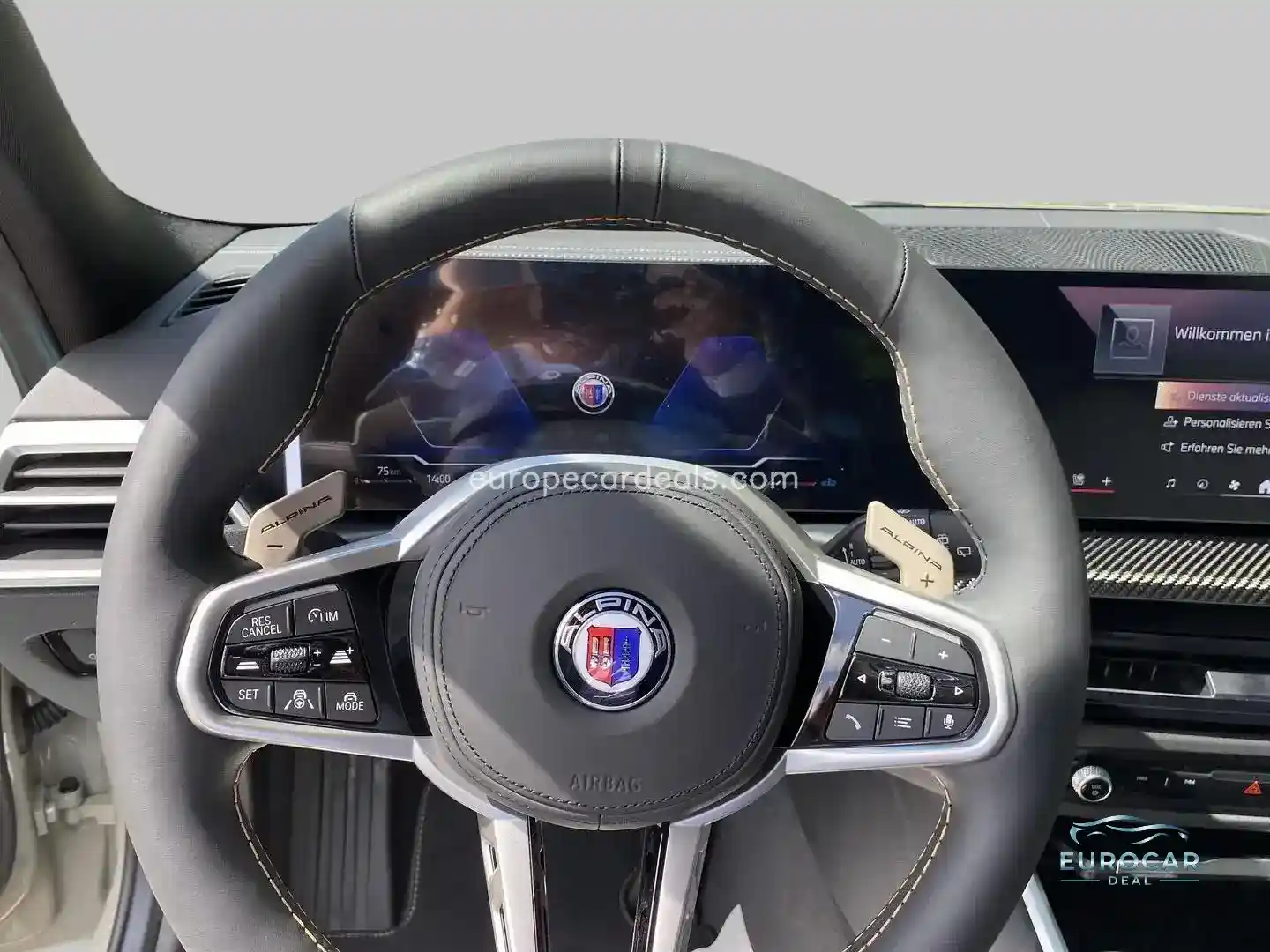 ALPINA B3