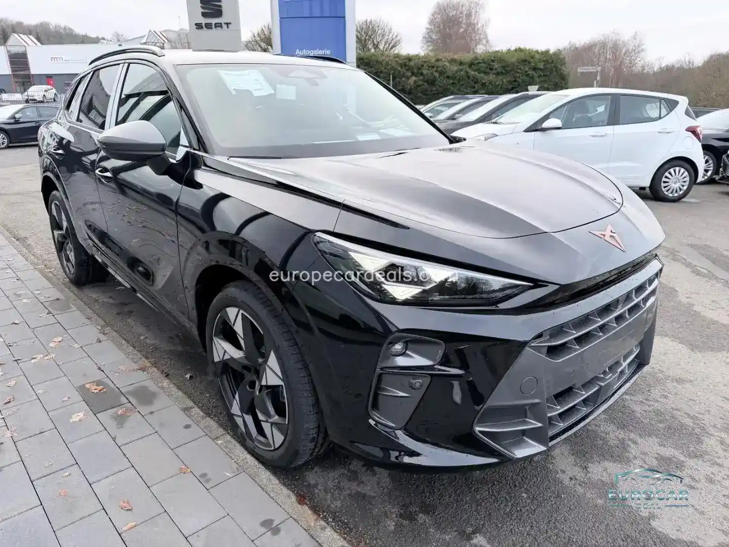 Cupra Terramar