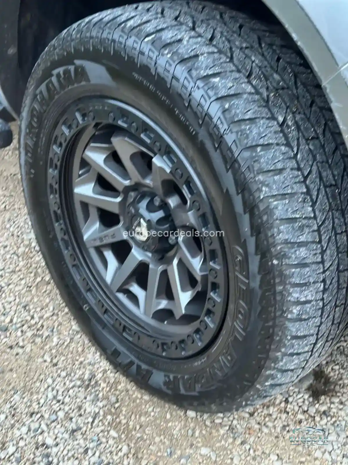 Dodge Other