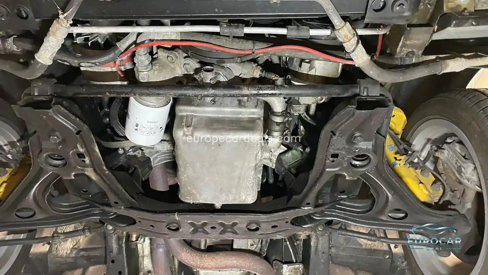 Lotus Other