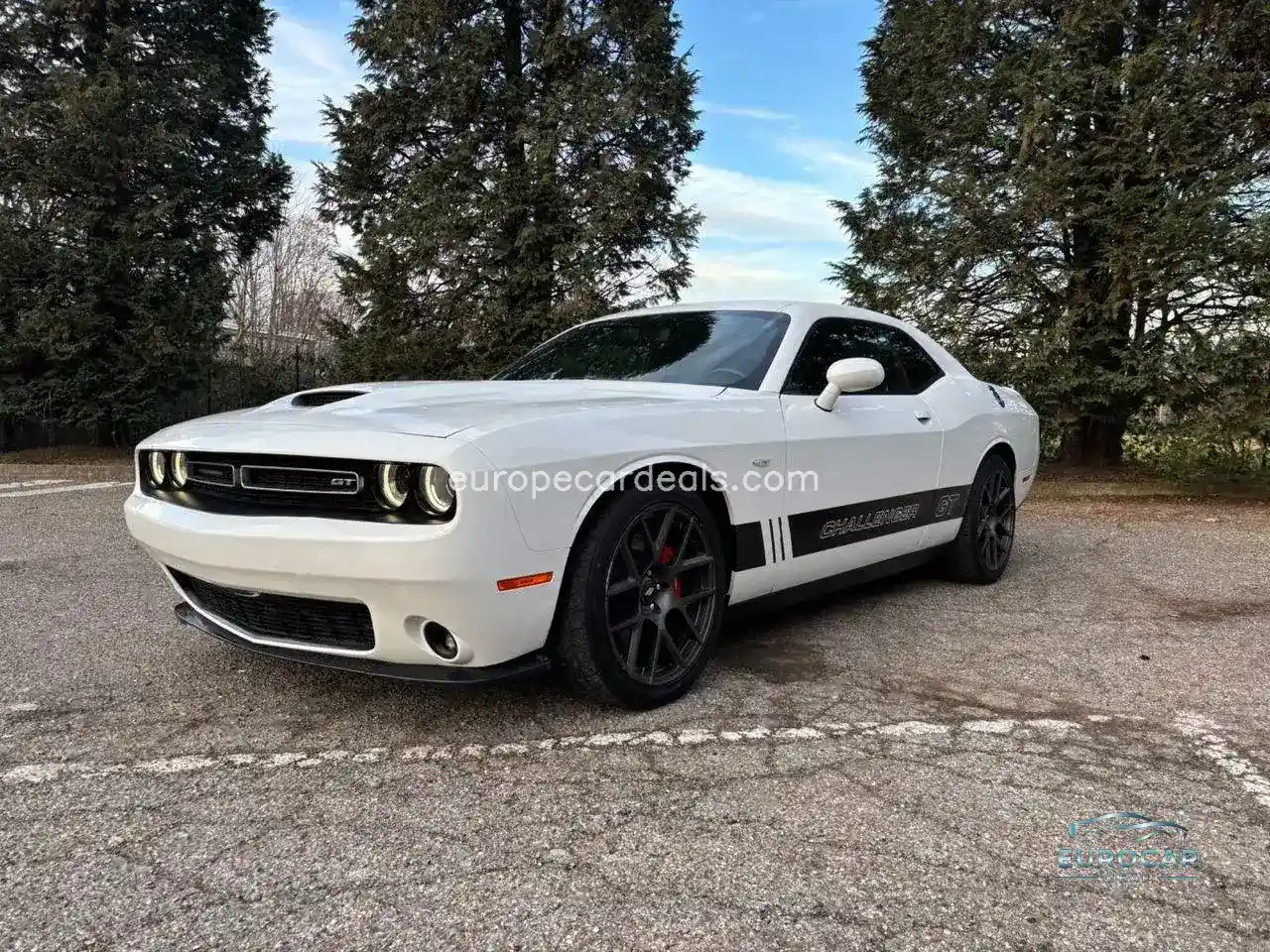Dodge Other