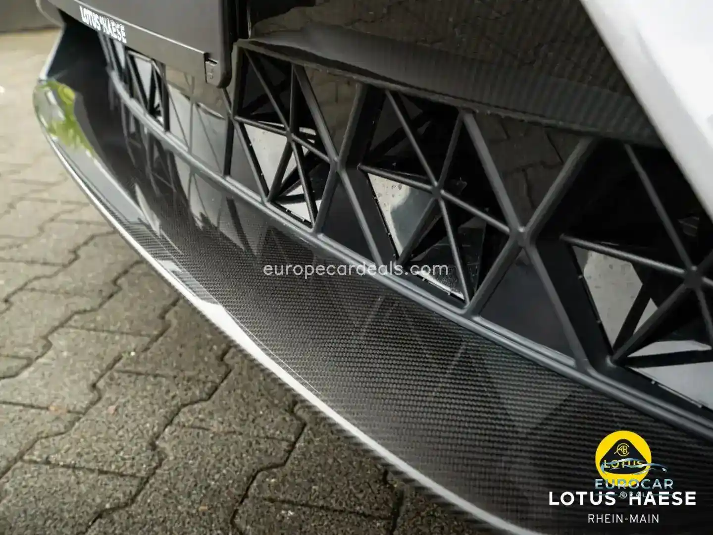 Lotus Eletre