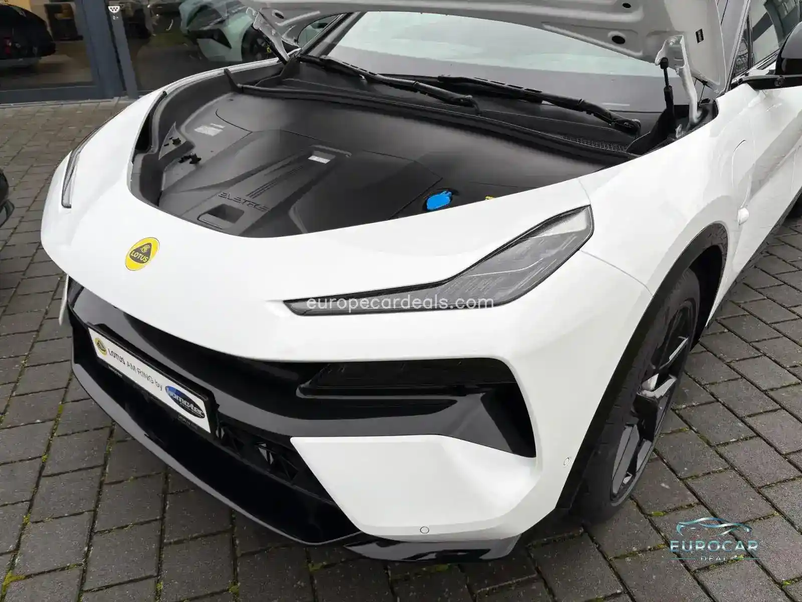 Lotus Eletre