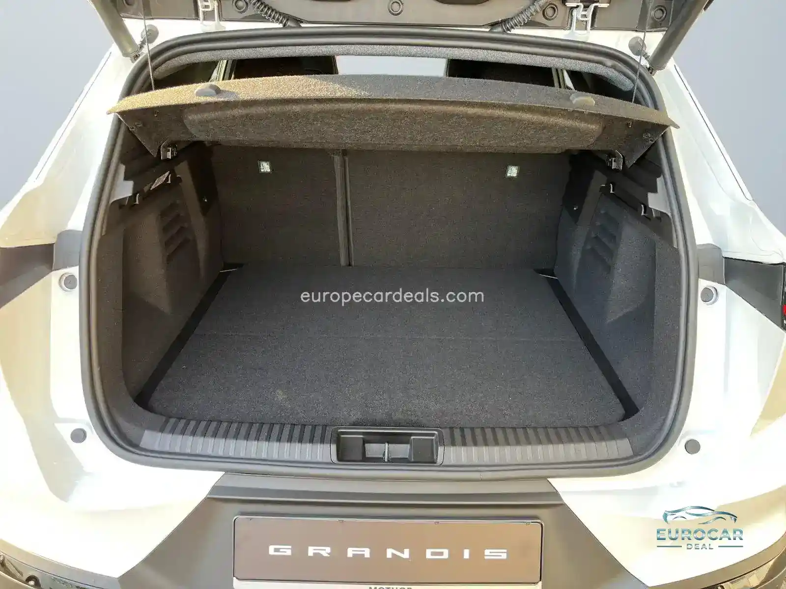 Mitsubishi Grandis