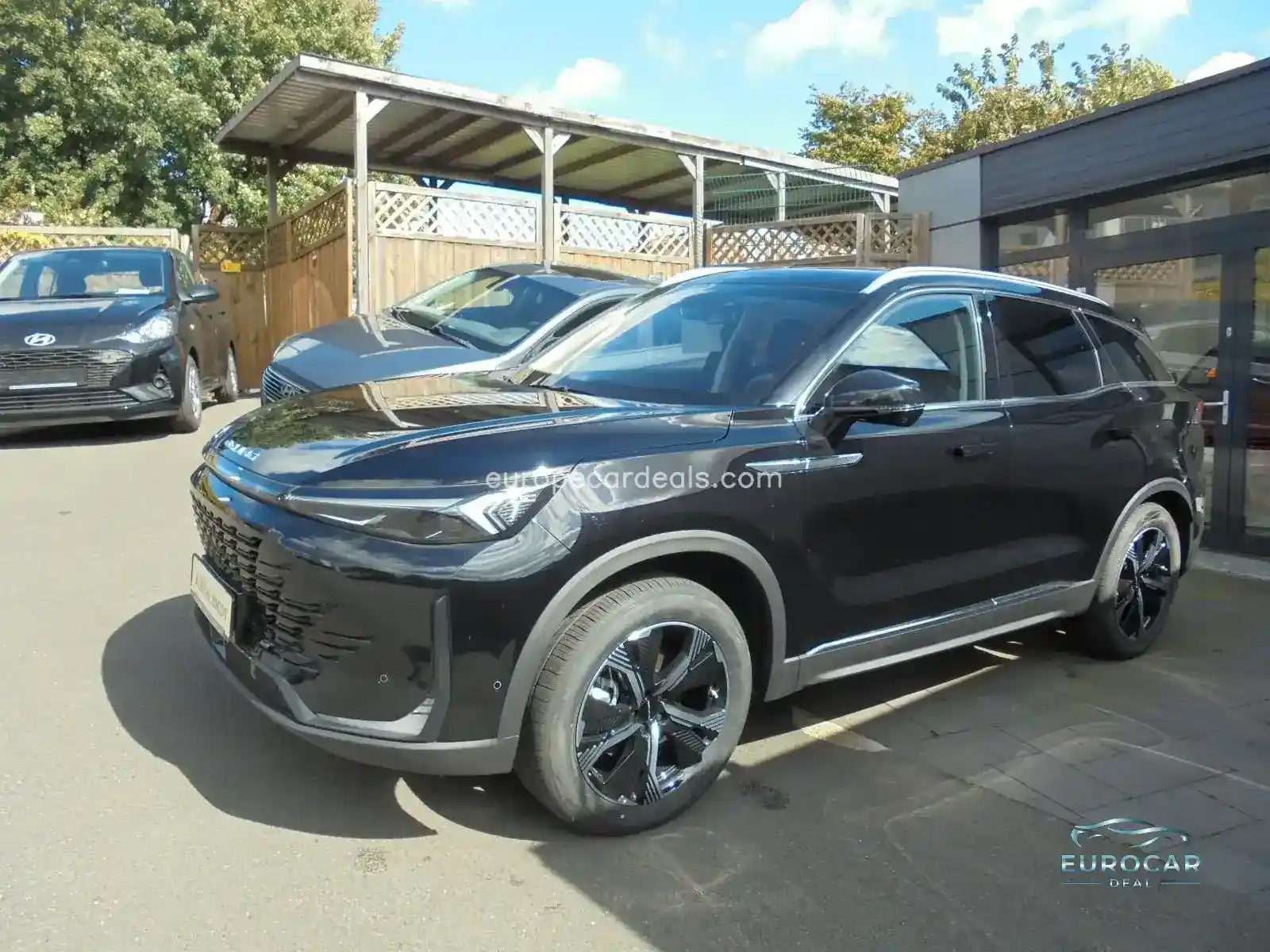 BAIC Other