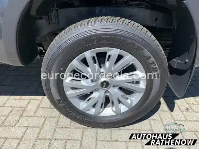 Double Cab 4WD LS SHZ Totwinkelassistent S