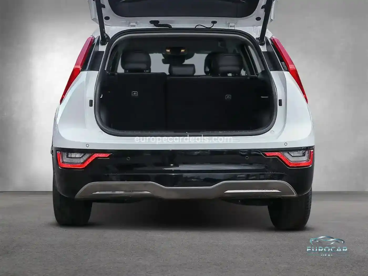 Kia Niro EV