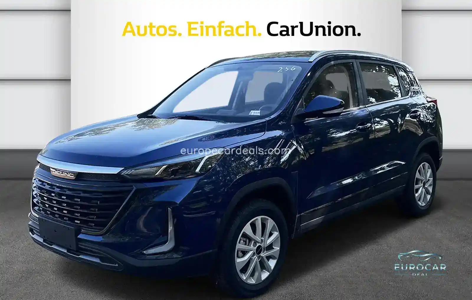 BAIC Other