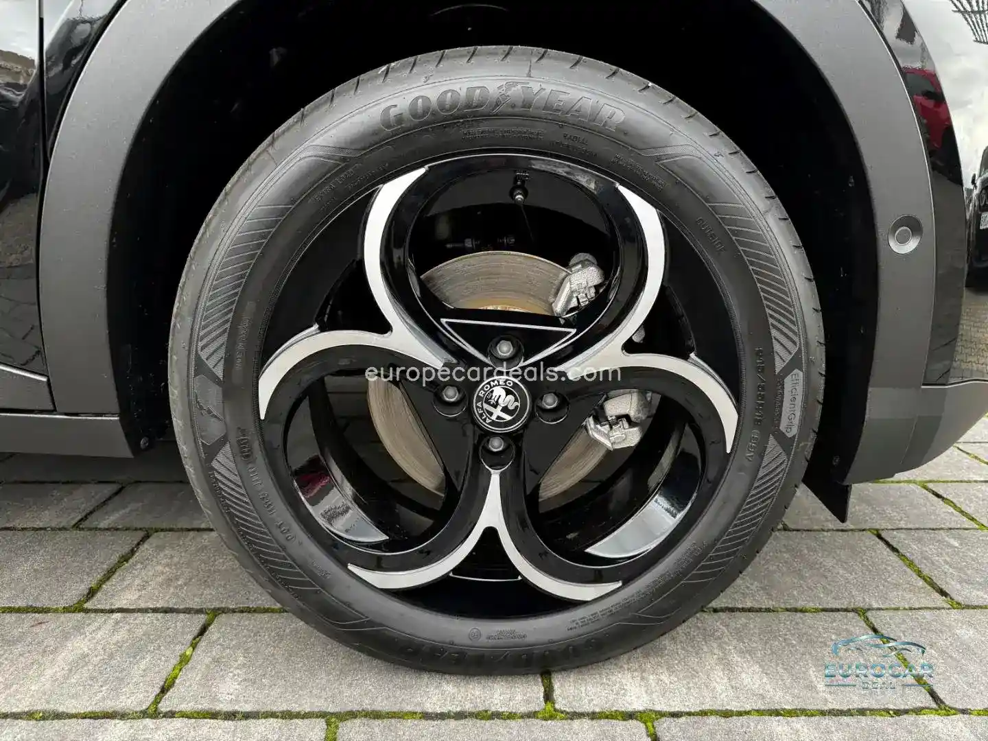 Alfa Romeo Junior