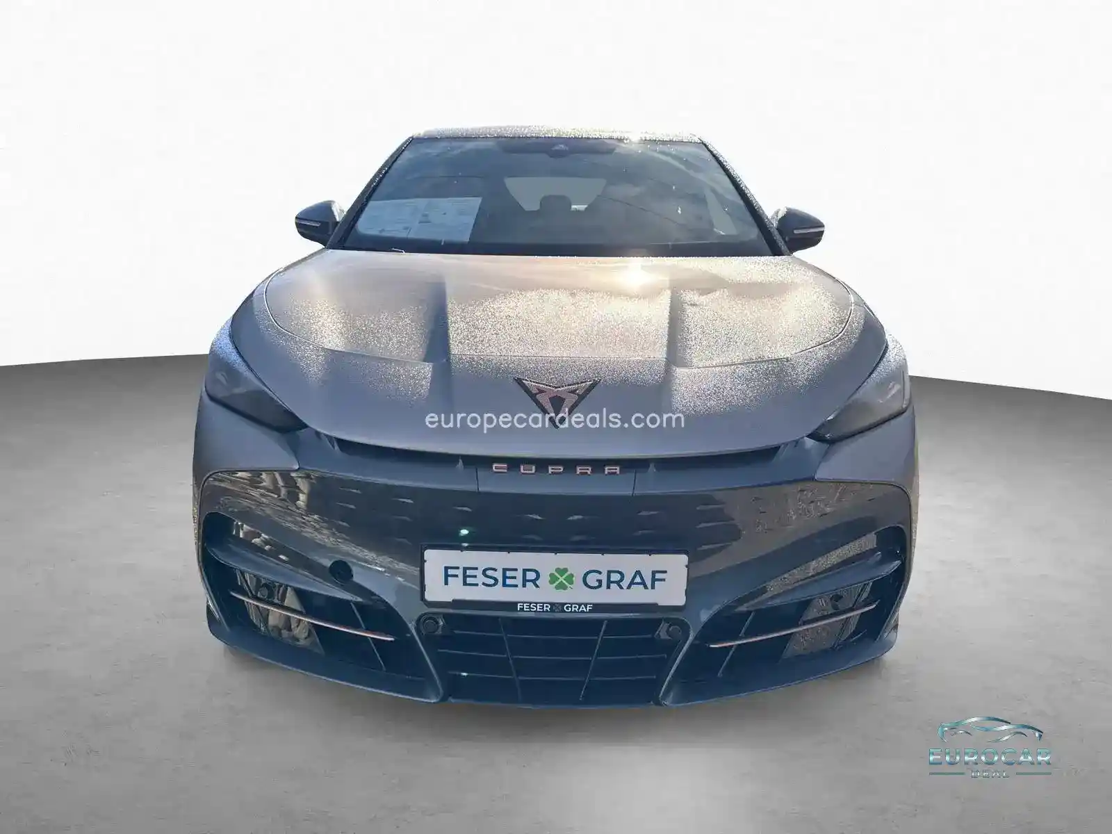 Cupra Tavascan