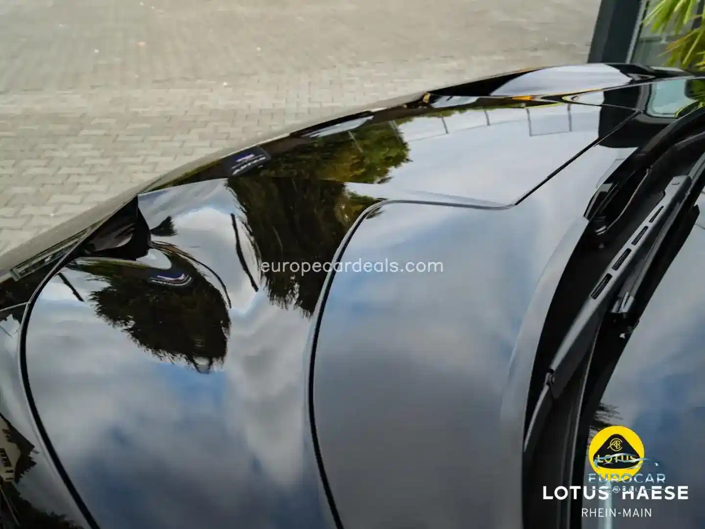 Lotus Eletre