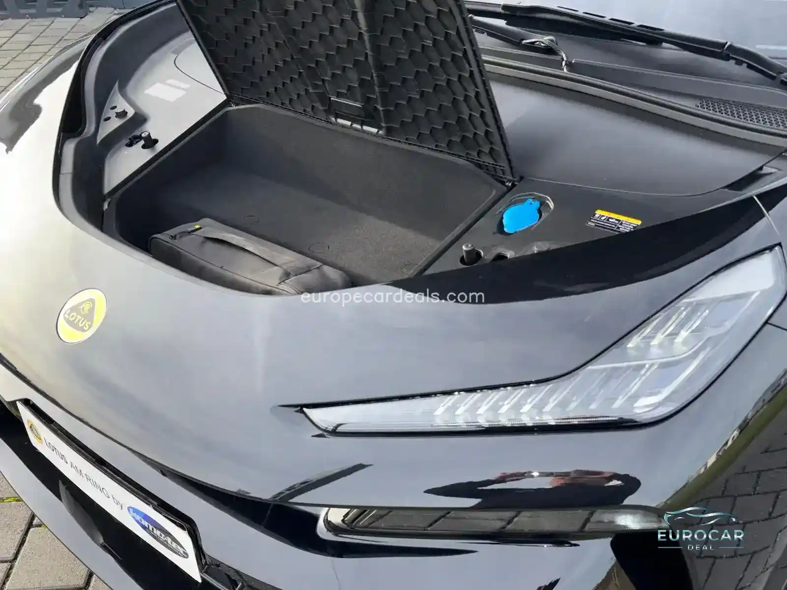 Lotus Eletre