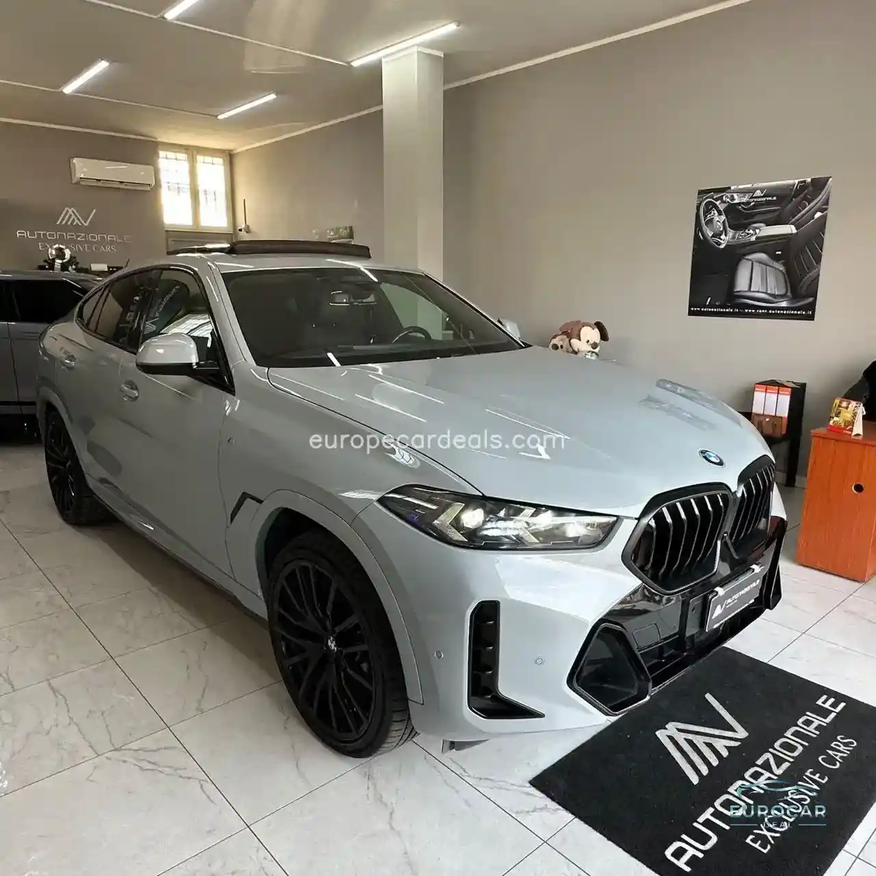BMW X6
