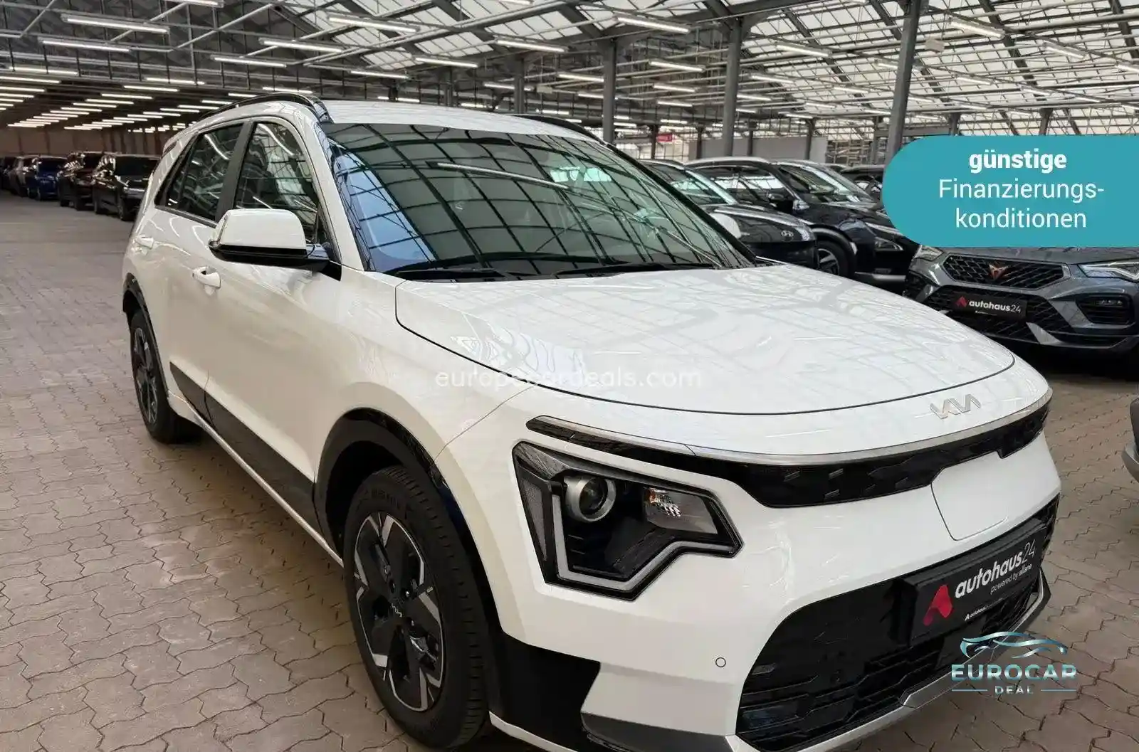 Kia Niro EV