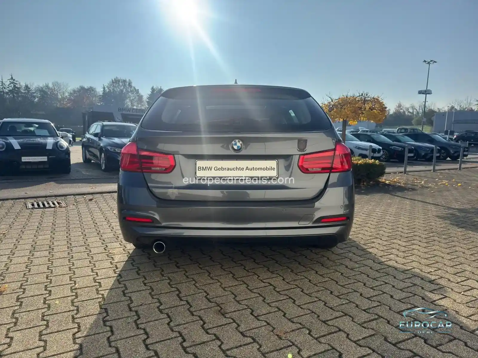 BMW 318